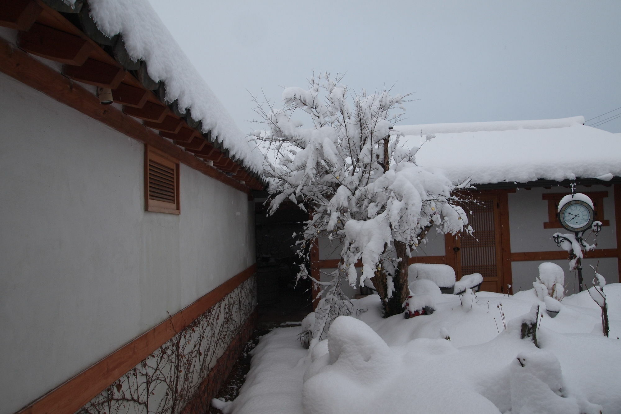 Floral Space Hanok Guesthouse Gyeongju Esterno foto